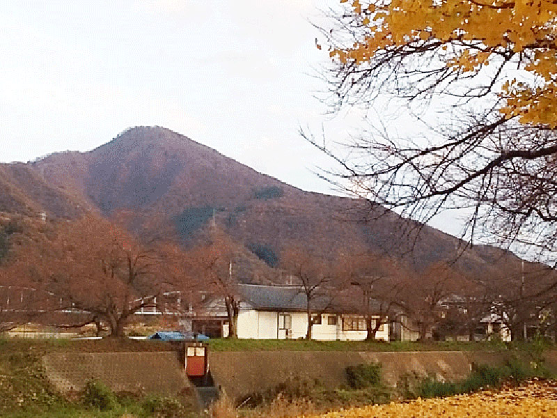 紅葉と日野山
