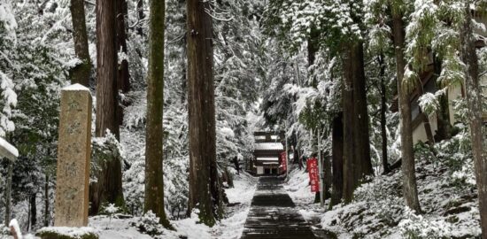 冬の大塩八幡宮