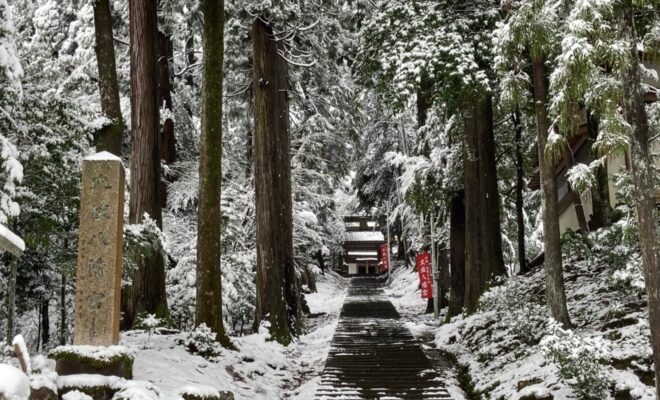 冬の大塩八幡宮